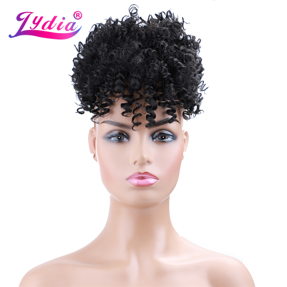 리디아 드로스트링 합성 하이 퍼프 아프로 킨키 컬리 포 - Drawstring Afro Curly Puff Ponytail 리뷰 및 가격