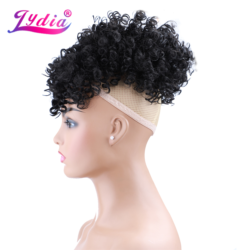 리디아 드로스트링 합성 하이 퍼프 아프로 킨키 컬리 포 - Drawstring Afro Curly Puff Ponytail 리뷰 및 가격